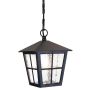 Elstead Lighting CANTERBURY BL48M-BLACK Závesná lampa 1x60W/E27 IP43
