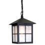 Elstead Lighting WINCHESTER BL18B-BLACK Závesná lampa 1x60W/E27 IP43