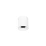 Italux ALTISMA CLN-6677-75-WH-3K Natáčané downlight svetlo 1x10W/LED 3000k 1100LM IP20