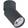 Zambelis CEILING SPOT S124 Natáčané downlight svetlo 1x40w/GU10 IP20