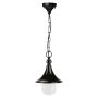 Novolux TROM 332G-G05X1A-02 Závesná lampa 1x42W/E27 IP43