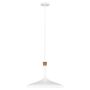Feiss DARWIN FE-DARWIN-P Závesná lampa 1x60W/E27
