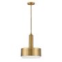 Hinkley Lighting Cedric HK-CEDRIC-P-M-BR Závesná lampa 2x60W/E27 IP20