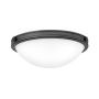 Hinkley Lighting Collier HK-COLLIER-F-S-BX Stropné svietidlo 2x40W/E27 IP20