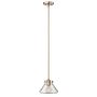 Hinkley Lighting CONGRESS HK-CONGRESS-P-A-BC Závesná lampa 1x60W/E27