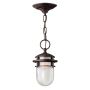 Hinkley Lighting REEF HK-REEF8-VZ Závesná lampa 1x60W/E27 IP23
