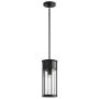 Kichler Camillo KL-CAMILLO-P-TBK Závesná lampa 1x60W/E27 IP44
