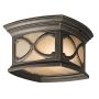 Kichler FRANCEASI KL-FRANCEASI-F Stropné svietidlo 2x60W/E27 IP44