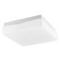 Nova Luce CUBE 6110042 Stropná lampa IP44