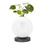 King Home BOTANICA MT80531-1-1-200 Stolná lampa 1x0,5W/LED 3000K 460LM IP20