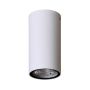 Italux Fano OPN-2002-4K Natáčané downlight svetlo 1x3W/LED 4000K 255lm IP54