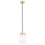 Argon PASADENA 8004 Závesná lampa 1x15W/E27 IP20
