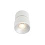 Nordlux PITCHER 2310400101 Bodové svetlo 1x10W/GU10 IP20