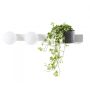 Kaspa BOTANICA DECO 20852201 Stena svietidlo 2x9W/E14 IP20