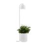 Kaspa BOTANICA XL 40848101 Stojanová lampa 1x9W/GU10 IP20