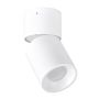 Polux NIXA 314239 Natáčané downlight svetlo max 10W LED IP20