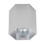 Zuma Line POLYGON 20067-AL Natáčané downlight svetlo 1x50W/GU10
