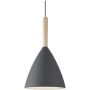 Nordlux PURE 43293010 Závesná lampa 1x40W/E27 IP20