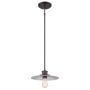 Quoizel ADMIRAL QZ-ADMIRAL-P-IB Závesná lampa 1x60W/E27