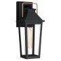 Quoizel Buckley QZ-BUCKLEY-M-MBK Stena svietidlo 1x40W/E27 IP44