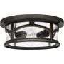 Quoizel MARBLEHEAD QZ-MARBLEHEAD-F Stropné svietidlo 2x60W/E27 IP44