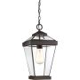 Quoizel RAVINE QZ-RAVINE8-M Závesná lampa 1x60W/E27 IP44