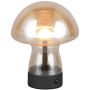 Trio DOOLEY R54981113 Stolná lampa 1x1.5w/led 3000k 140lm ip20