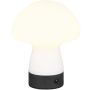 Trio DOOLEY R54981131 Stolná lampa 1x1.5w/led 3000k 140lm ip20