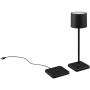 Trio FERNANDEZ R54096132 Stolná lampa 1x1w/led 2700+4000+6000K 130lm ip54