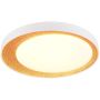 Trio ALETA R64611179 Stropná lampa 1x24w/led 2700-6500k 2500lm ip20
