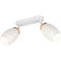 Trio BIDAR R81572031 Bodové svetlo 2x10w/e14 ip20