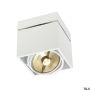 SLV KARDAMOD 117101 Natáčané downlight svetlo 1x75W/GU10/ES111 IP20