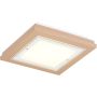 Argon TABOR 1866 Stropná lampa 4x15W/E27 ip20