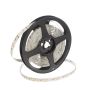SMD LED HOMEline TAS4625SLL LED pásik 120x9,7W/m/LED 3000K 880 lm/m IP20