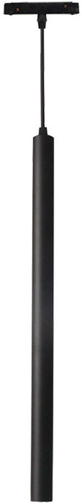 Zambelis-MAGNETIC-2081-D-ZAM2081-D