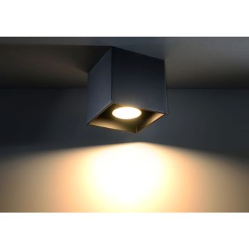 Sollux QUAD SL.0022 Natáčané downlight svetlo 1x40W/GU10