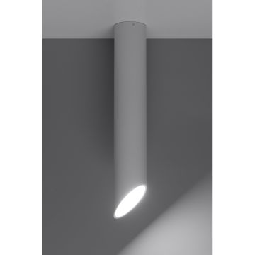Sollux INEZ SL.0105 Natáčané downlight svetlo 1x40W/GU10