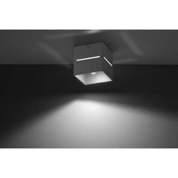 Sollux LOBO SL.0208 Natáčané downlight svetlo 1x40W/G9