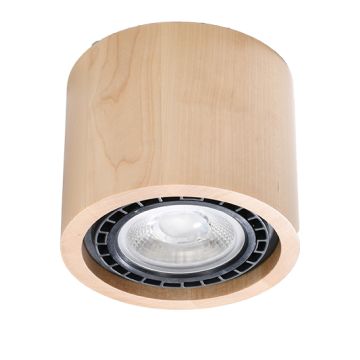 Sollux BASIC 1 SL.0913 Natáčané downlight svetlo 1x40W/GU10 IP20