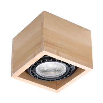 Sollux QUATRO 1 SL.0915 Stropné svietidlo 1x40W/GU10 IP20