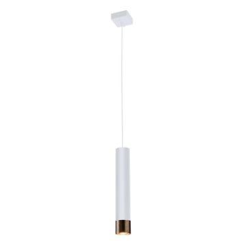 Antigo Eido 8257 Závesná lampa 1x10W/GU10 IP20