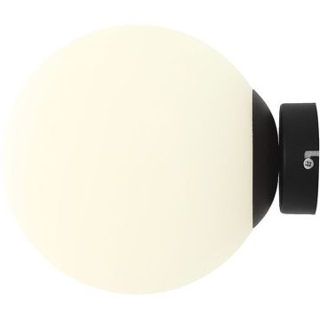 Aldex BALL 1076C1_M Stena svietidlo 1x15W/E27 IP20