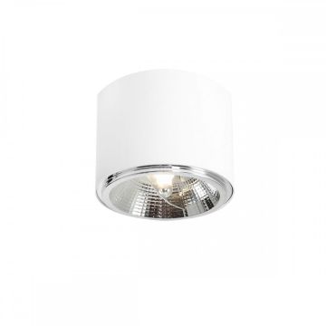 Aldex BOT 1046PL_G Natáčané downlight svetlo 1x35W/GU10/ES111