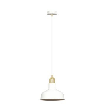 Emibig IBOR 1043/1 Závesná lampa 1x15W/E27 IP20