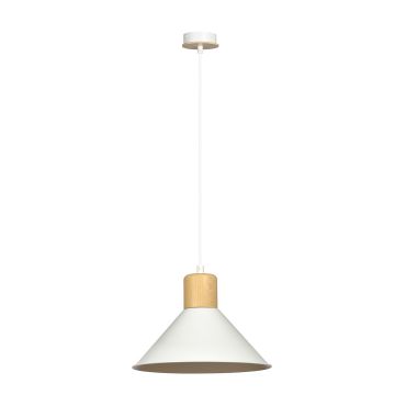 Emibig ROWEN 1045/1 Závesná lampa 1x15W/E27 IP20