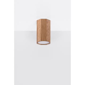 Sollux ZEKE 10 SL.1033 Natáčané downlight svetlo 1x40W/GU10 IP20