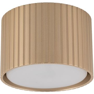 TK Lighting FERRO 11657 Natáčané downlight svetlo 1x8W/gx53 3000K 560lm IP20