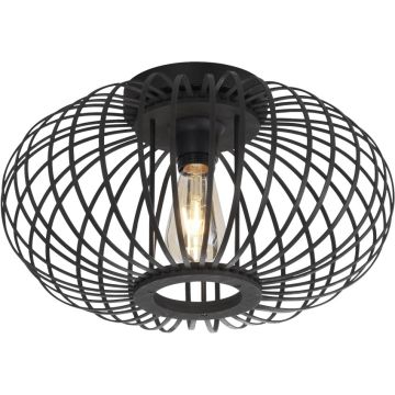 Paul Neuhaus RACOON 11410-18 Stropná lampa 5x40W/E27 ip20