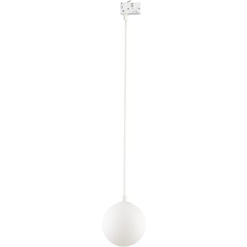 TK Lighting TRACER 3f 11661 Koľajnicový reflektor 1x8W/G9 IP20