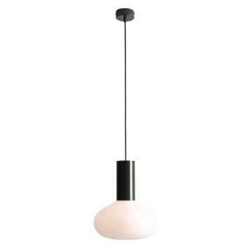 Aldex FLO MOSS M 7000G26_M Závesná lampa 1x10W/E14
